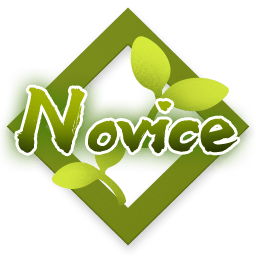 Novice Novice